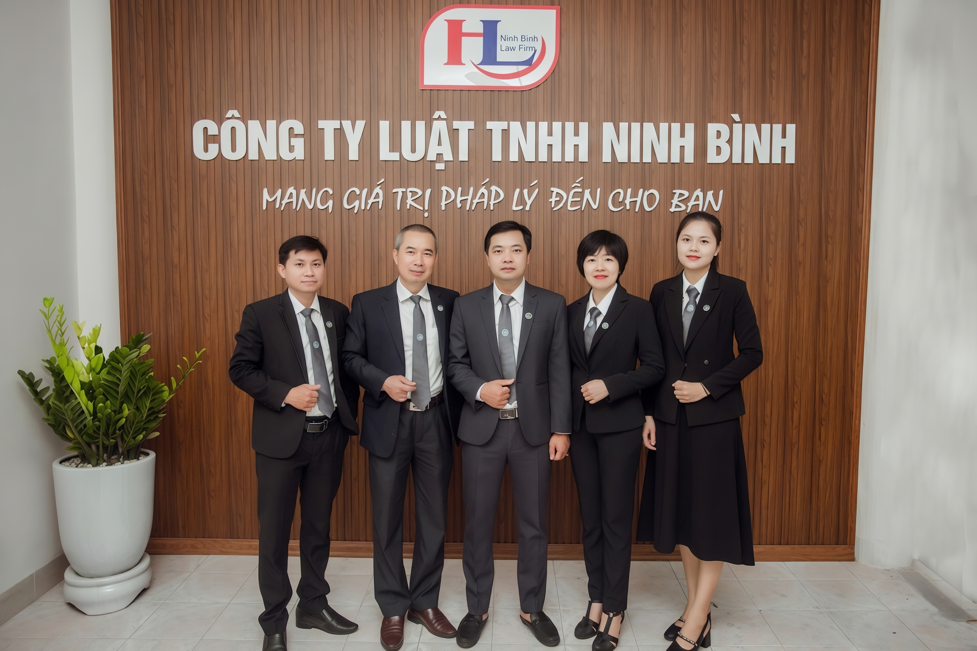 Giới thiệu công ty